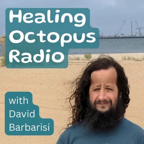 Healing Octopus Radio cover art, with David Barbarisi on a beach