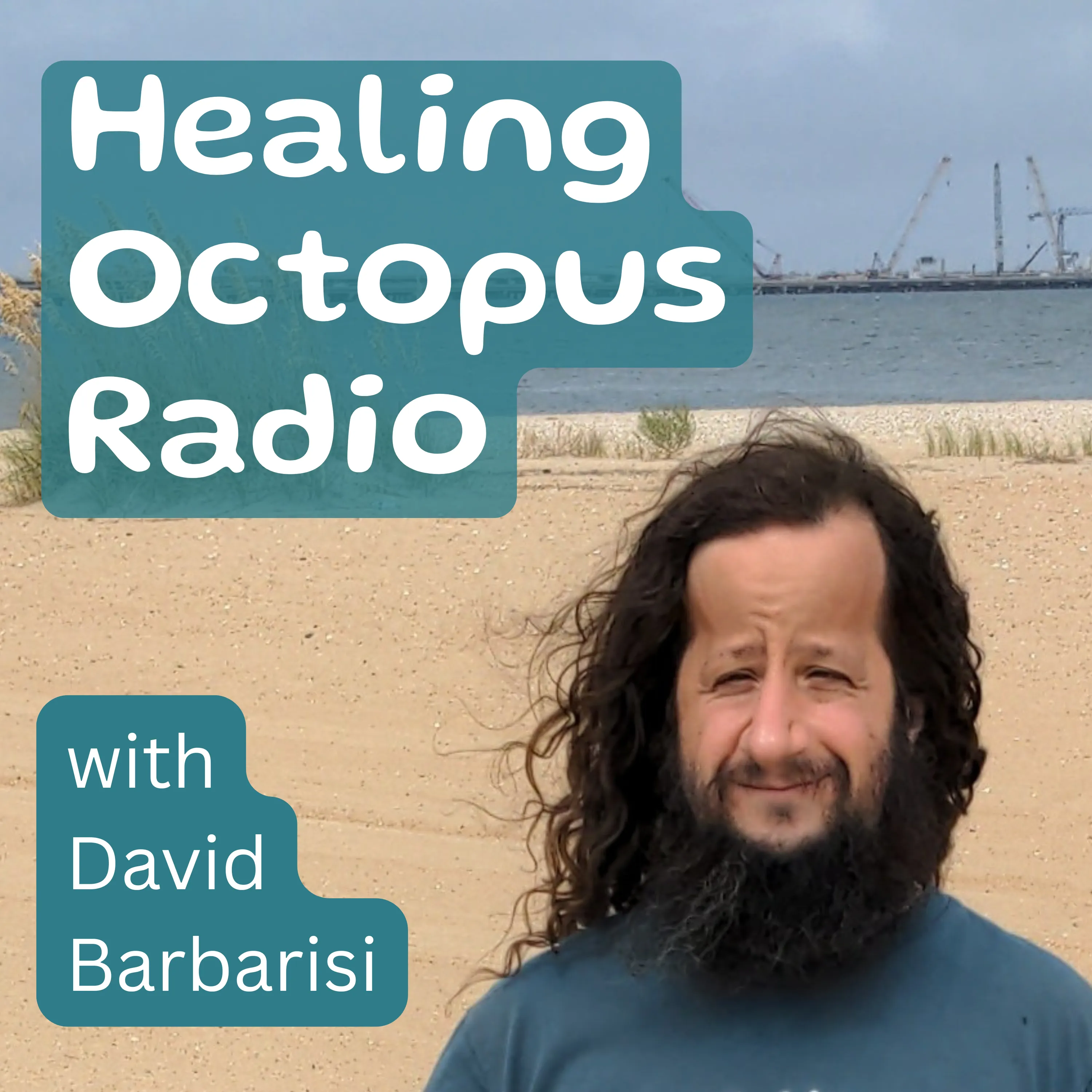 Healing Octopus Radio cover art, with David Barbarisi on a beach